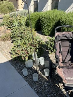 Hanging Light Chandelier 