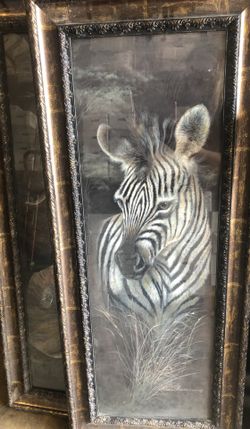 Zebra Picture With Frame