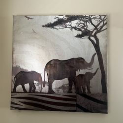 African Animal Pictures