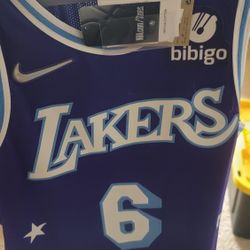 Lebron JAMES jersey