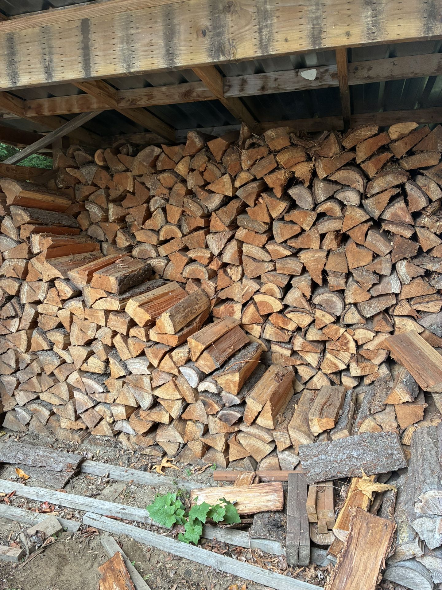 Firewood 