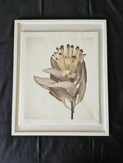 🎨 RARE #1/100 Limited Edition Art Print - "Elegy of a Flower"