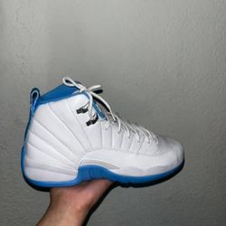 Jordan 12
