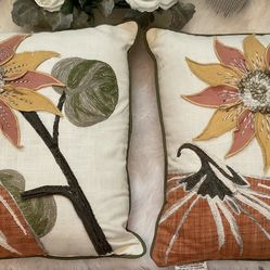 Set Of 2 Nice Pillows-19”x19”-$25 Firm,No Holds Or Spam