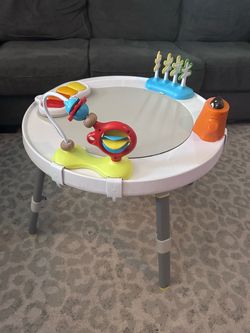 Skip hop activity center