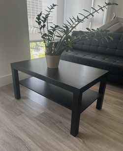 Contemporary Coffee Table