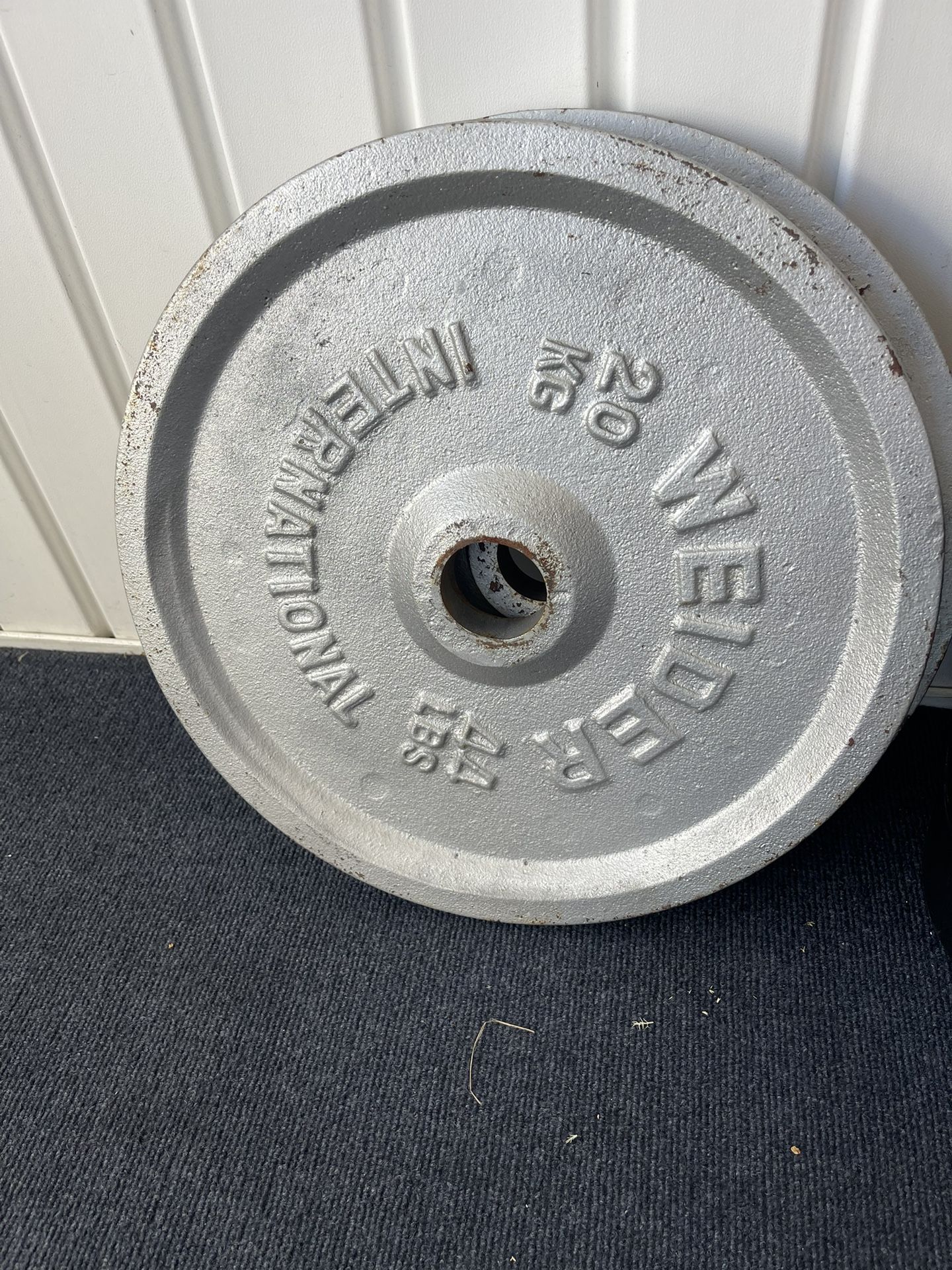 Weight Plates (Olympic plates)