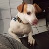 oddy
