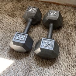 25 Pound Dumbbell Pair