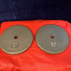 Two 20 lb Steel Weight Plates 