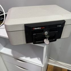 SentrySafe Box