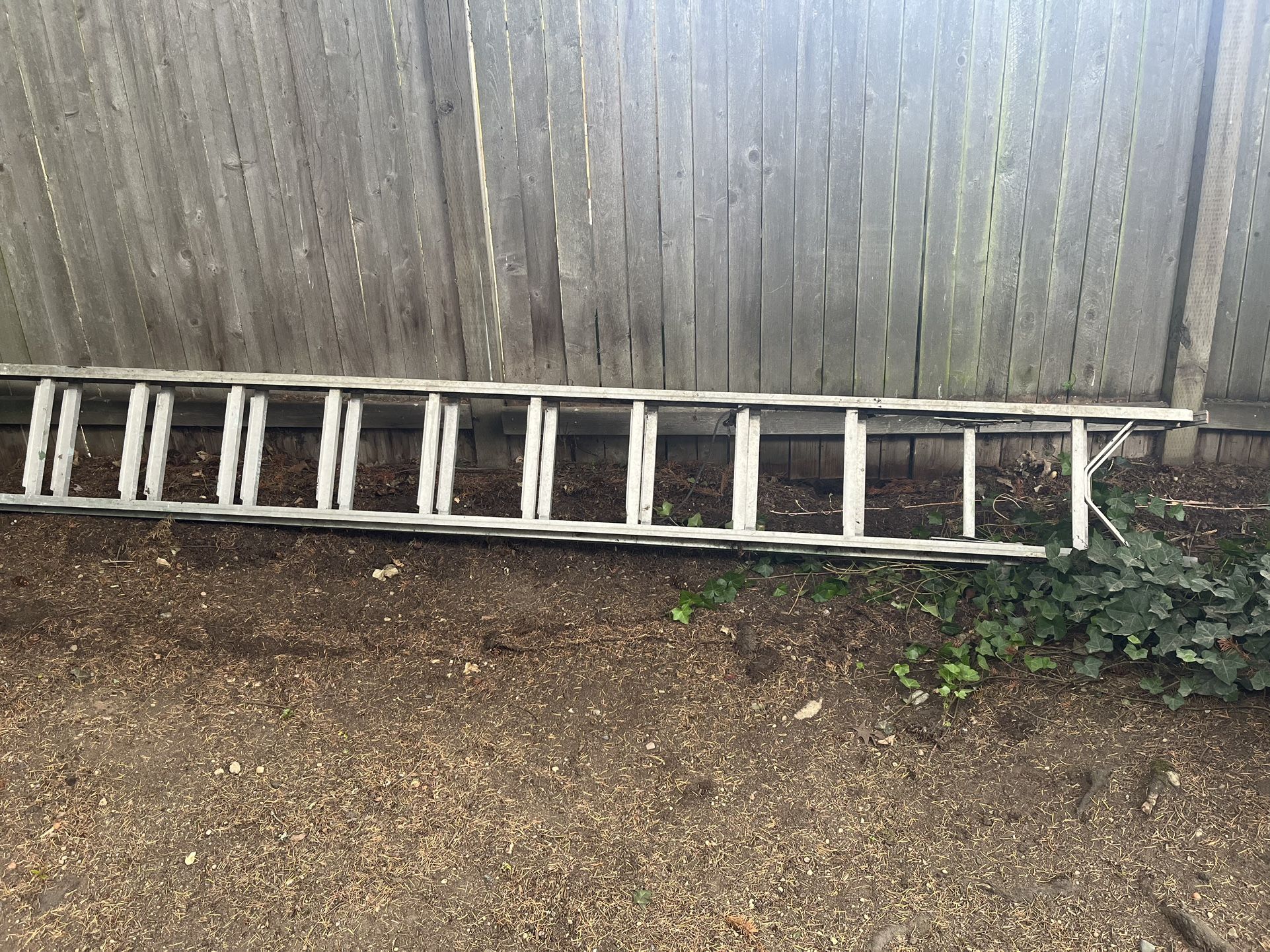 14’ Extending Ladder 