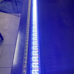 Fluva Sea Marine & Reef LED Light Stripe