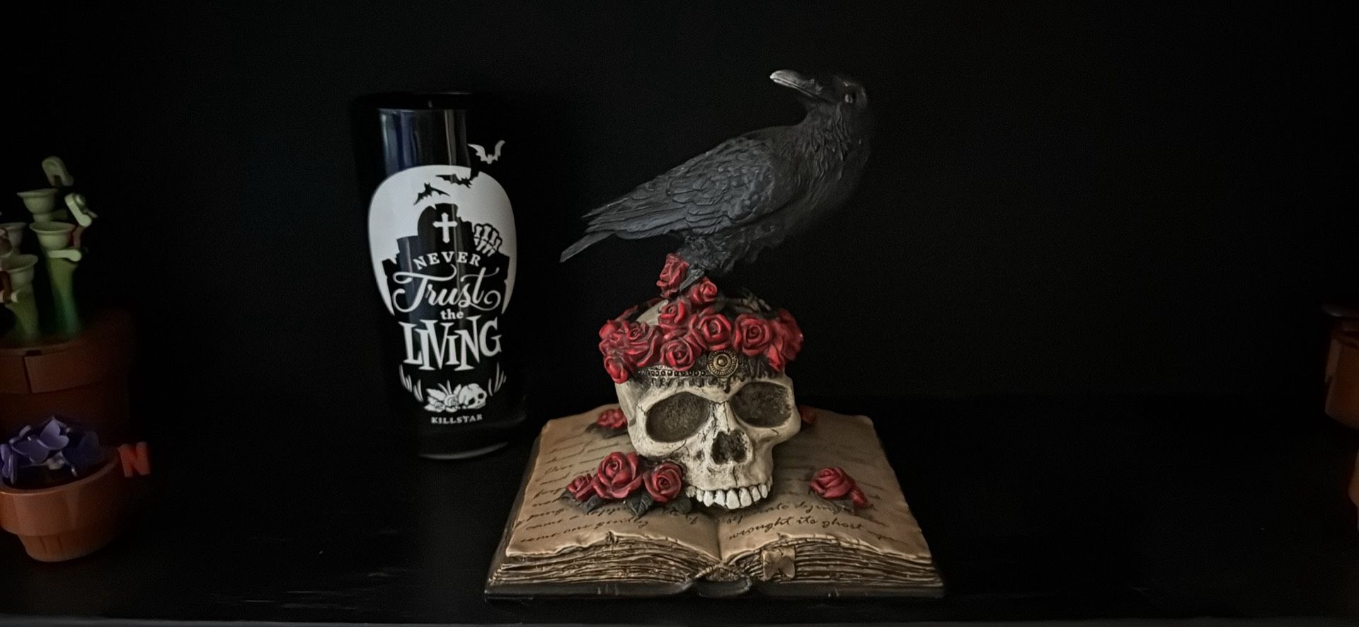 Raven On Skull Decor