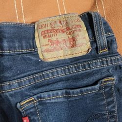 Hand Embroidered Levi's Shorts