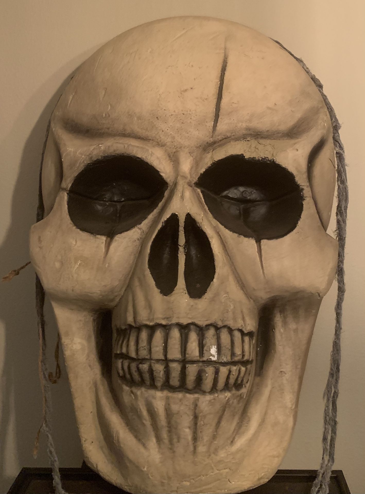 SKELETON HEAD