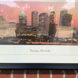 Tampa Panorama View 