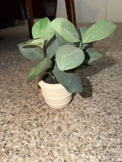Free fake plant