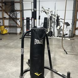 Everlast Punching Bag