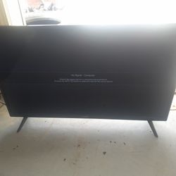 Vizio