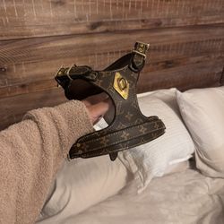 Louis Vuitton Medium To Large Size Dog Harness