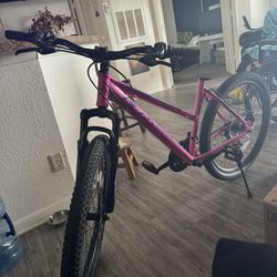 Pink Bicycle 