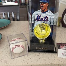 Juan soto signed Baseball