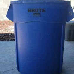 Brute Garbage Bin
