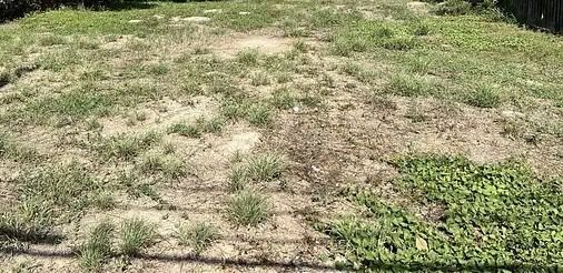 Open Space For Nursery / Bonsai Garden Available