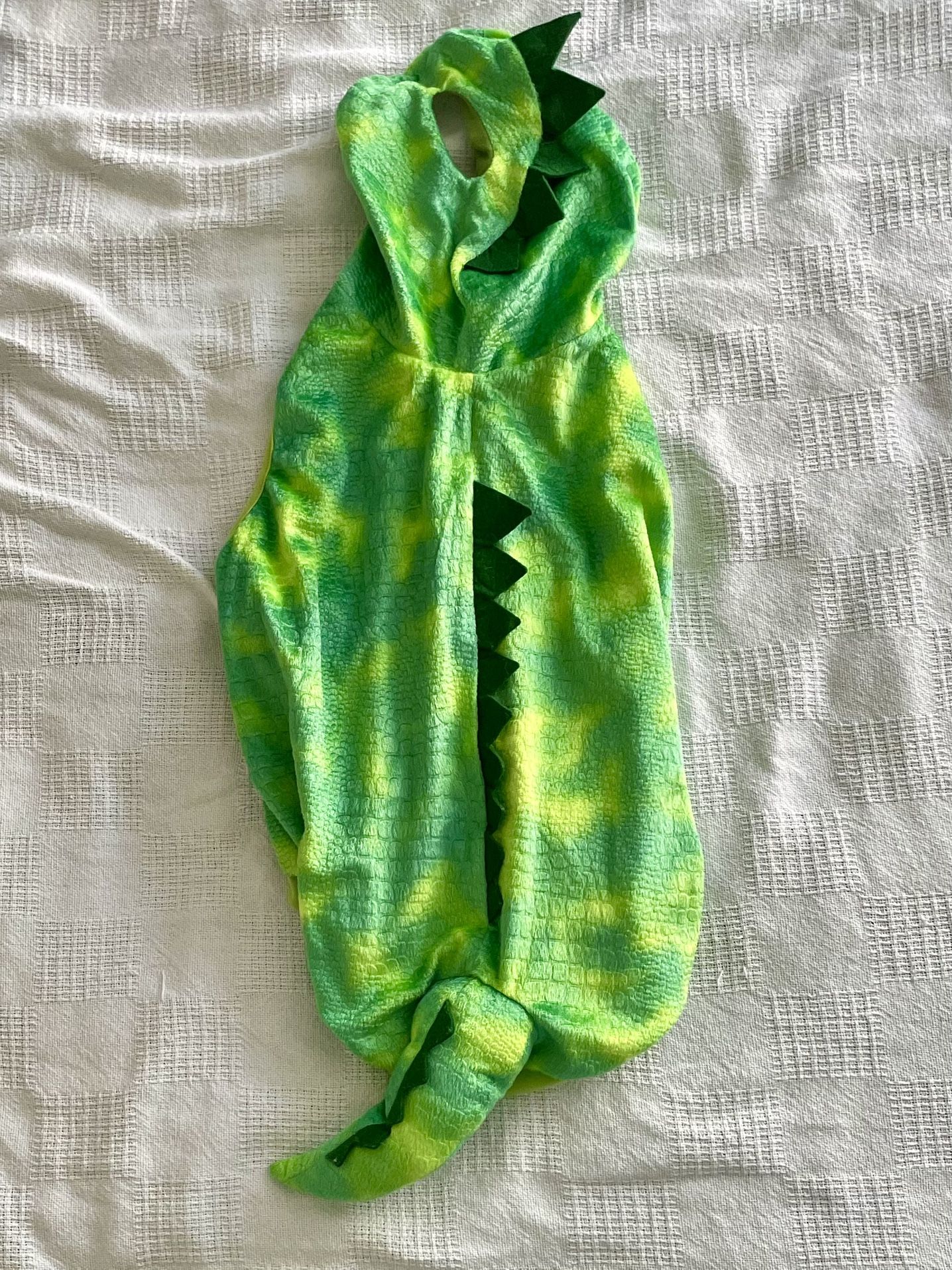 Dog Dinosaur Costume