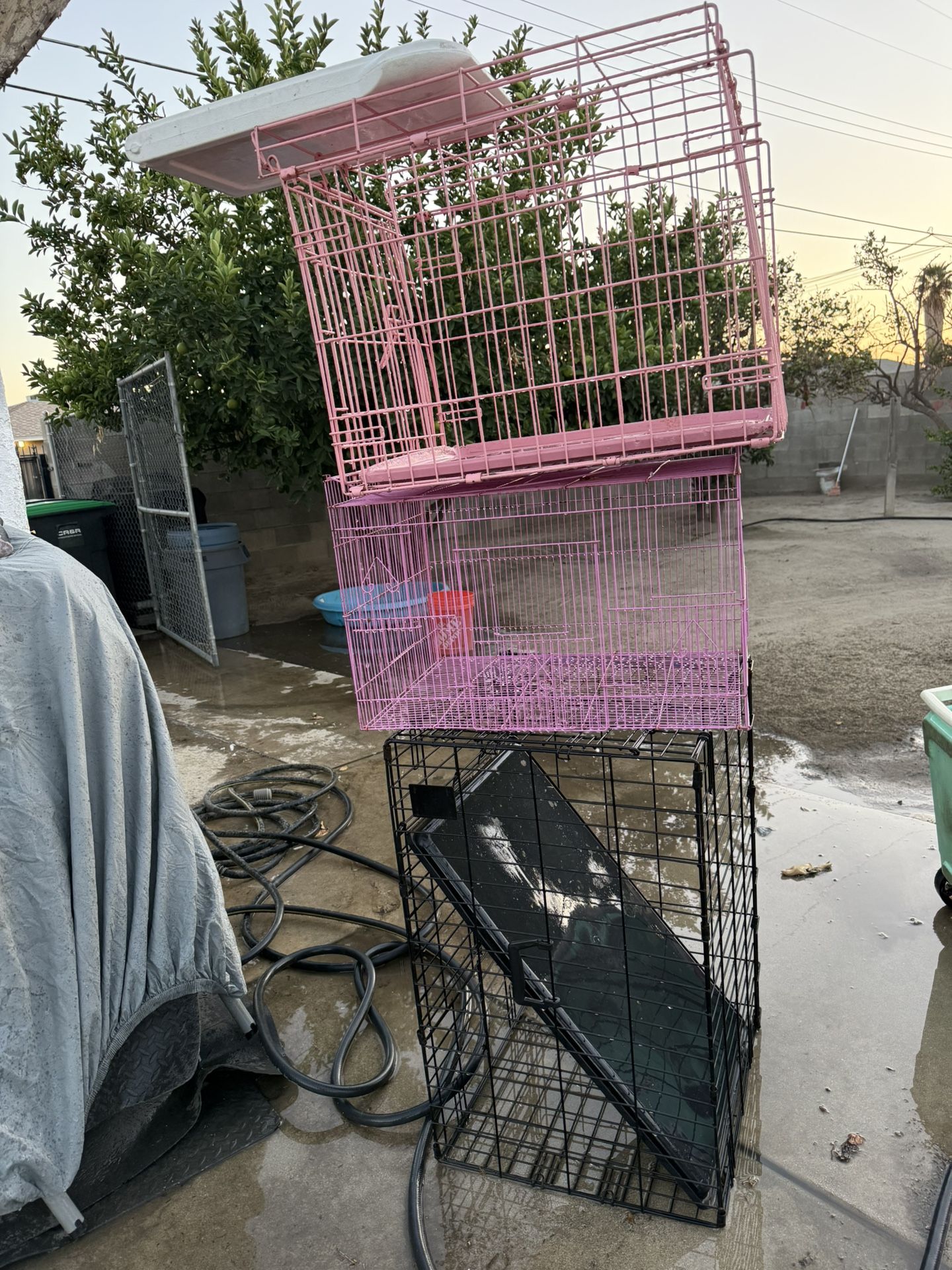 Cages
