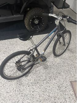 Priority 20” Bike
