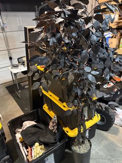 Halloween tree