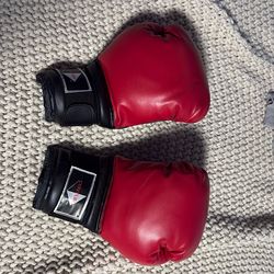 Century boxing gloves, large