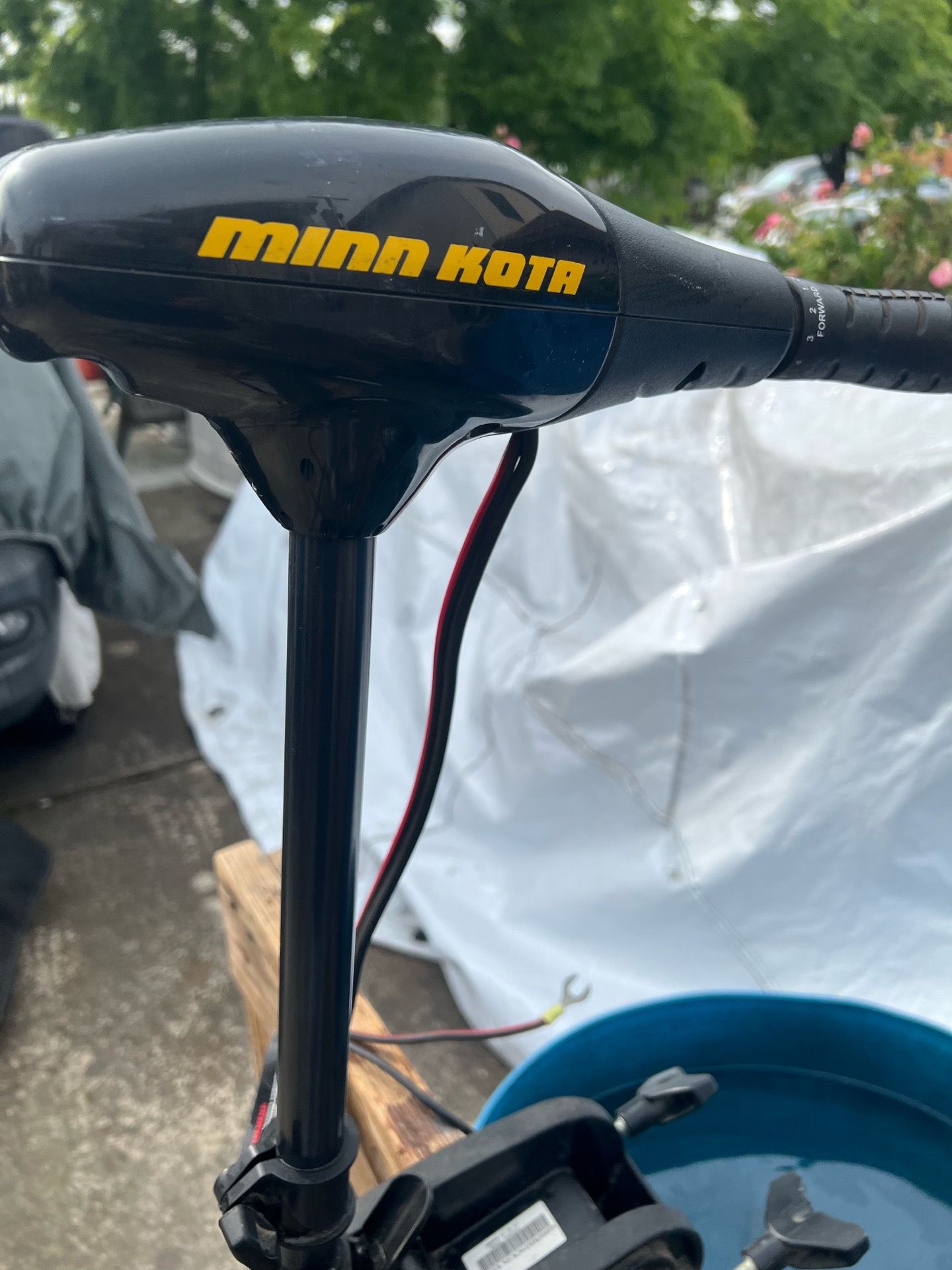 Electric trolling motor