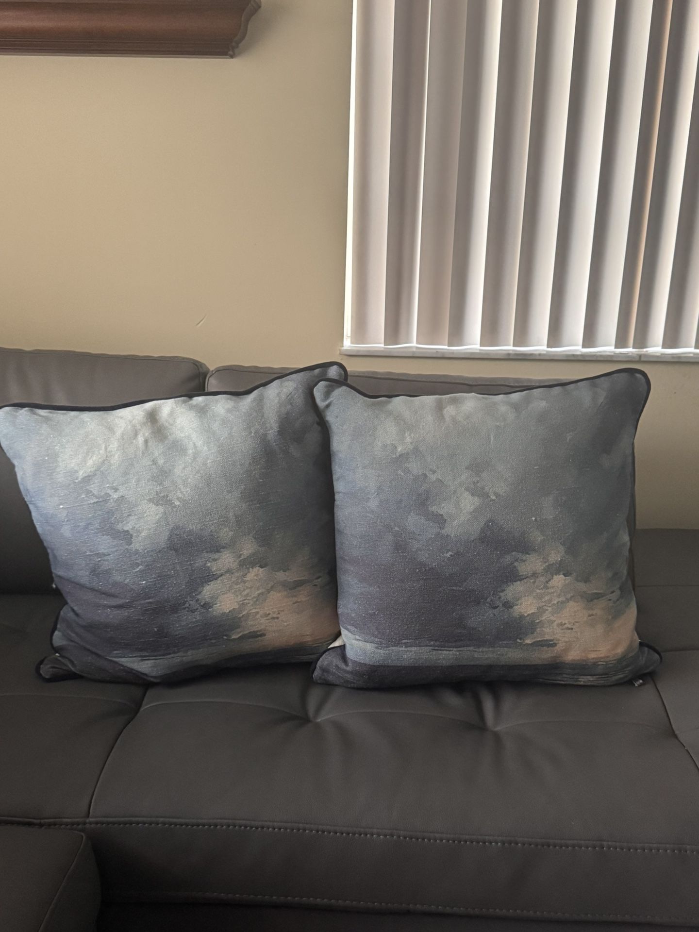 Crate & Barrel Couch Pillows
