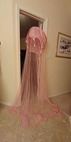Bed canopy , local pick up