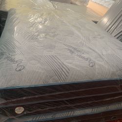 Queen Regular Mattress 