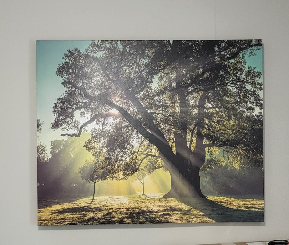 Canvas Artwork