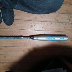 DeMarini CF Zen 2019 Fastpitch Softball Bat 29"