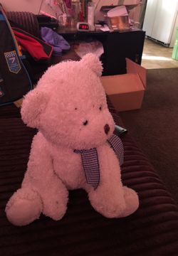 Used teddy bear stuff animal