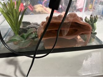 Animal tank
