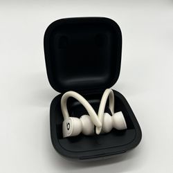 Apple Powerbeats Pro Bluetooth Wireless Earbud 