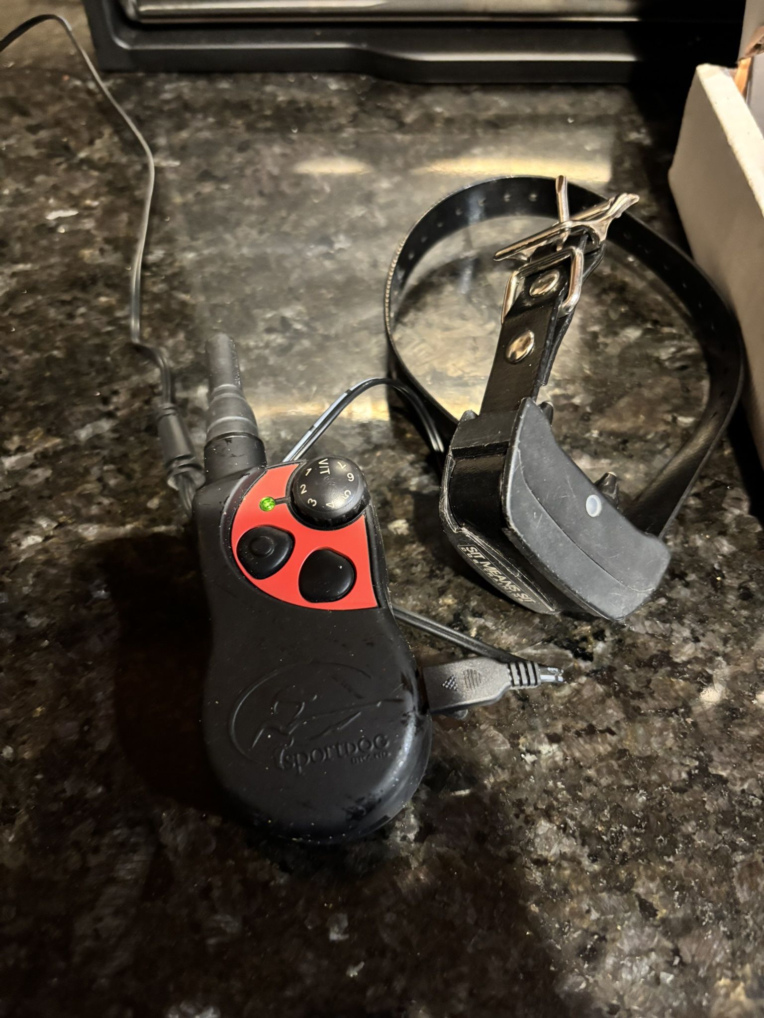 Dog Training Collar - SIT MEANS SIT