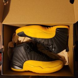 Jordan 12 University Gold,  Good Cond Sz 8.5