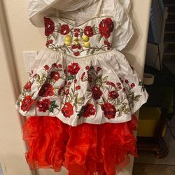 Vestidos Charro Para Nina