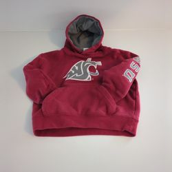 Adorable 3T WSU Hoodie