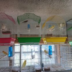 Jaulas Para Tomegines Y Canarios Y Negritos Y Mas