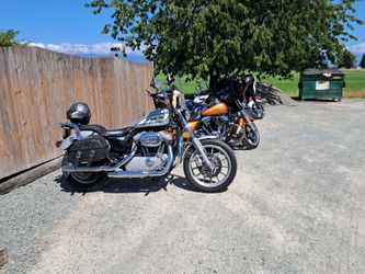 Leather saddlebags