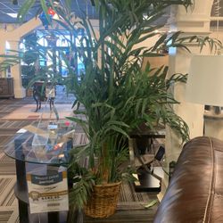 Beautiful Artificial Plant